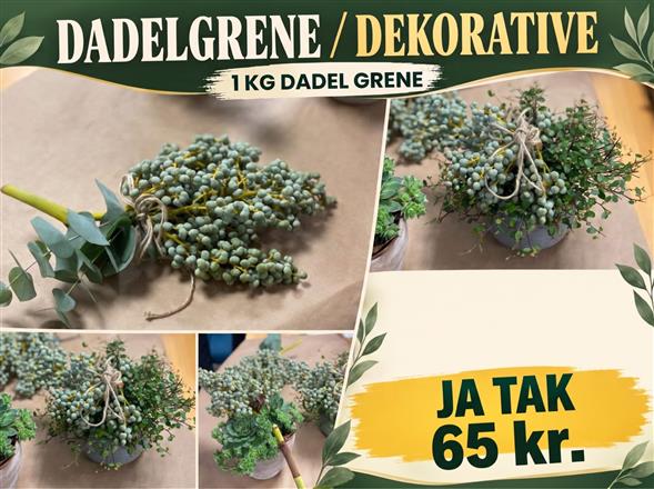 Dadelgrene